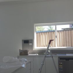 Roller Blinds Blacktown   O451 OO1 O6O