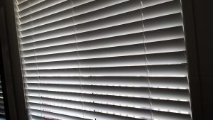 sydney venetian blinds